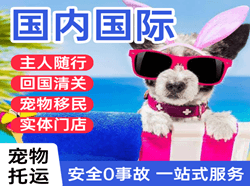 普陀山机场邮寄国际宠物托运 【国